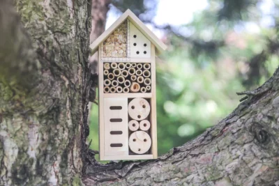 Créez un hôtel à insectes